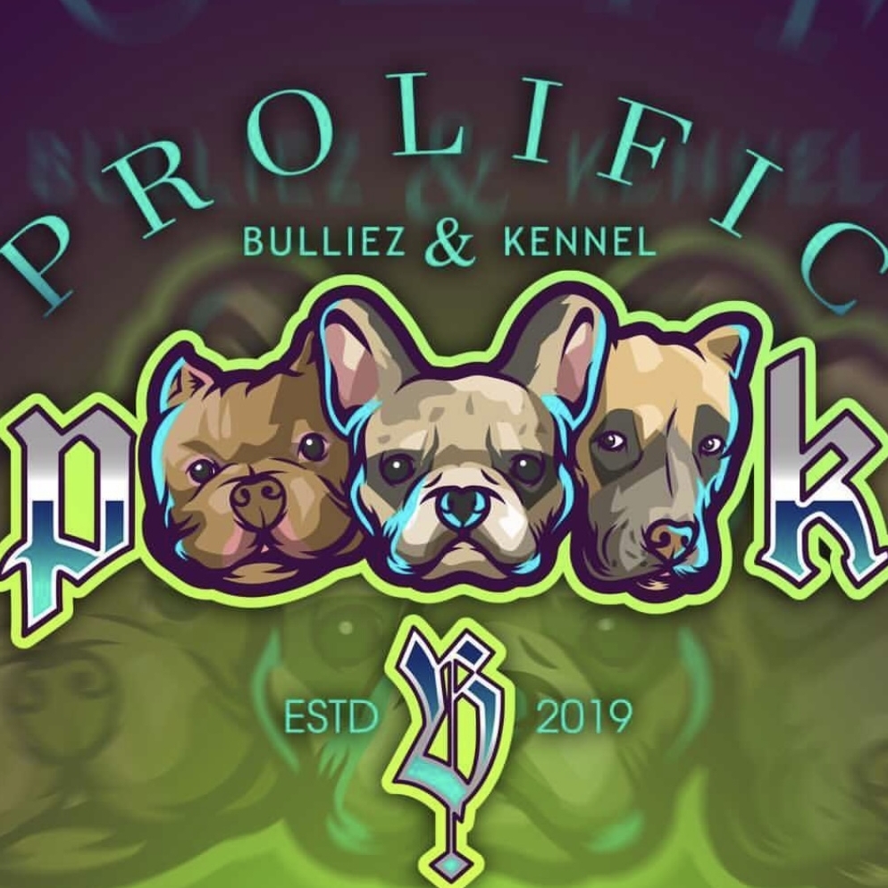 Prolific Bulliez & Kennel